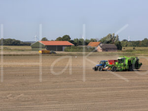 Aardappelteelt (16B7700)