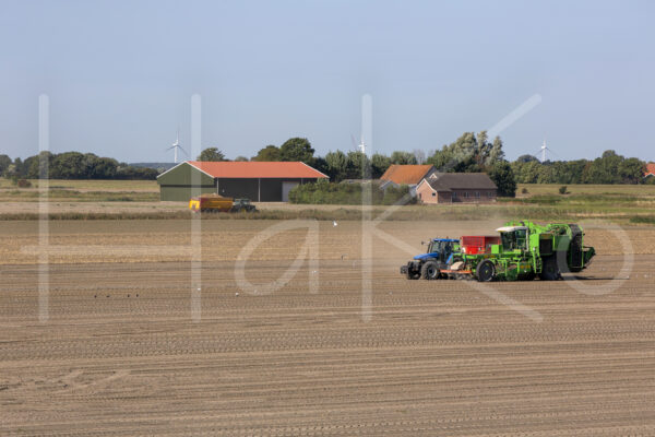 Aardappelteelt (16B7700)