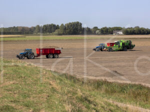 Aardappelteelt (16B7704)