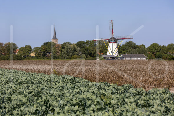 Landbouwlandschap (16B7717)
