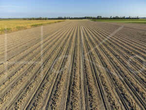 Uienteelt (DJI_0371)