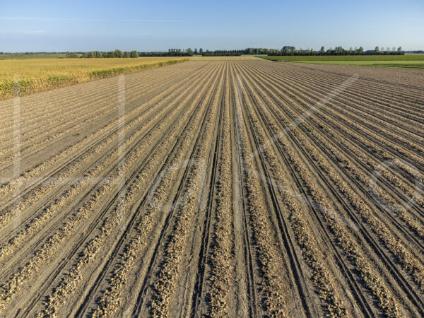 Uienteelt (DJI_0371)