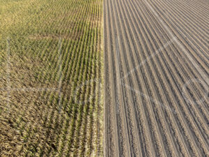 Uienteelt (DJI_0392)