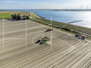 Aardappelteelt (DJI_0424)