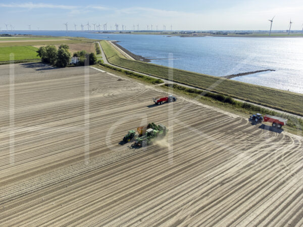 Aardappelteelt (DJI_0424)