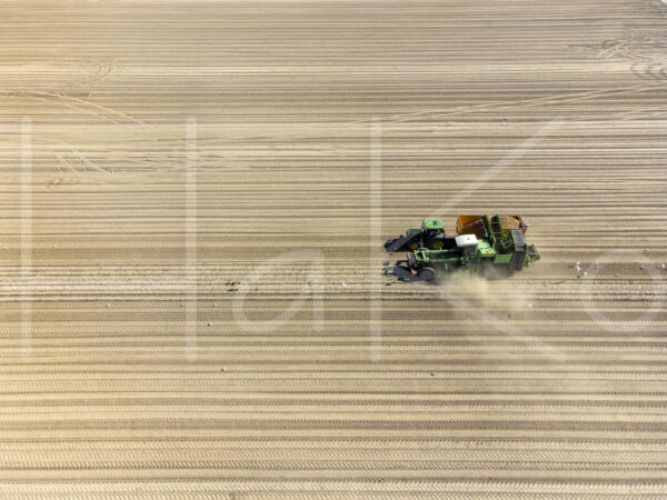 Aardappelteelt (DJI_0430)