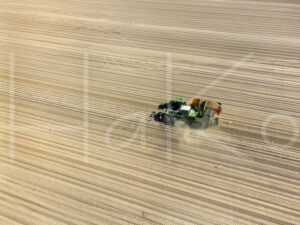 Aardappelteelt (DJI_0434)