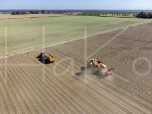 Uienteelt (DJI_0458)