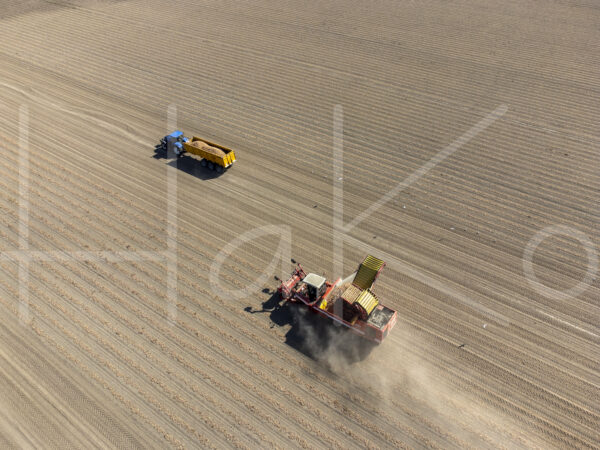 Uienteelt (DJI_0482)