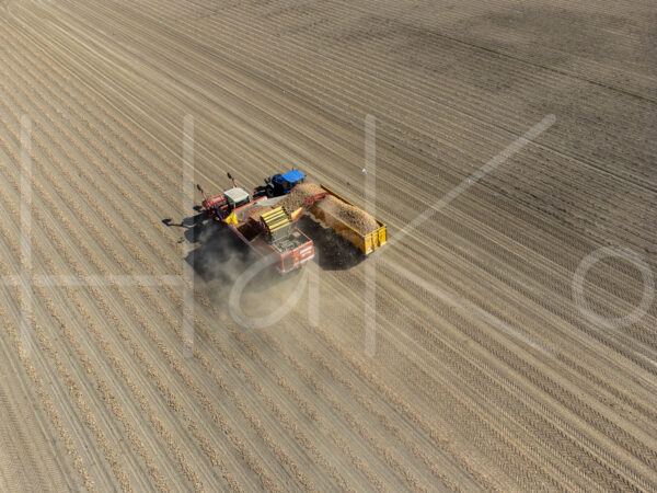 Uienteelt (DJI_0486)