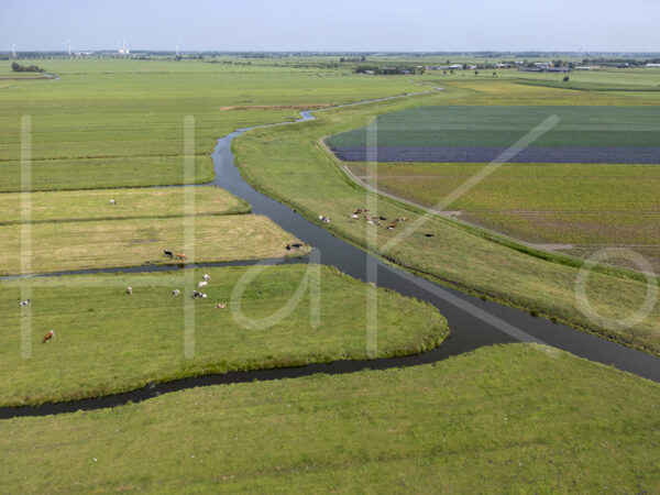 Landbouwlandschap (DJI_0596)