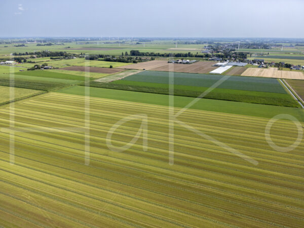 Landbouwlandschap (DJI_0609)