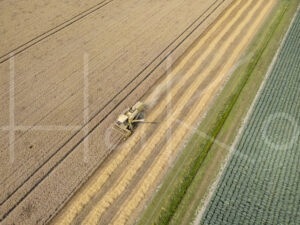 Tarweteelt (DJI_0627)