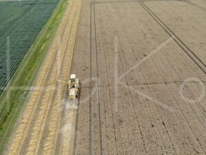 Tarweteelt (DJI_0634)