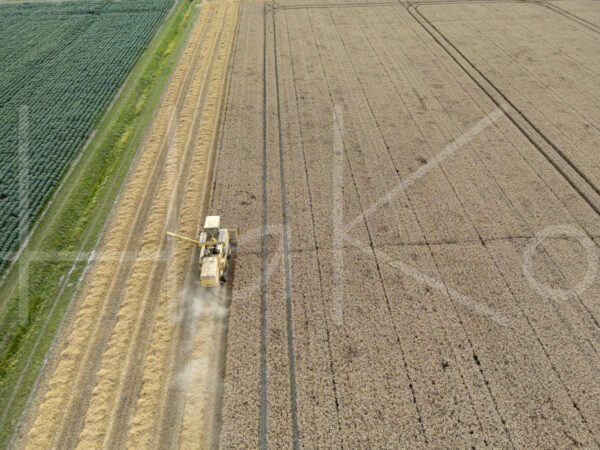 Tarweteelt (DJI_0634)