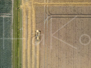 Tarweteelt (DJI_0640)