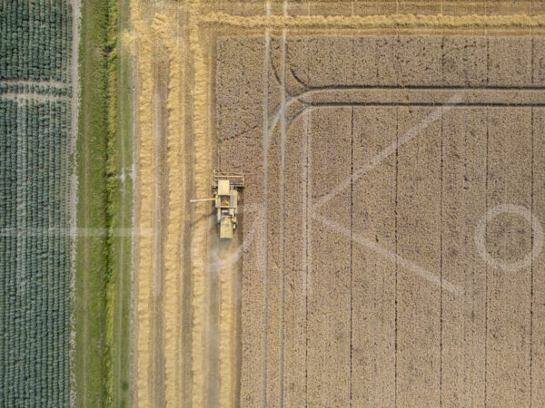 Tarweteelt (DJI_0640)