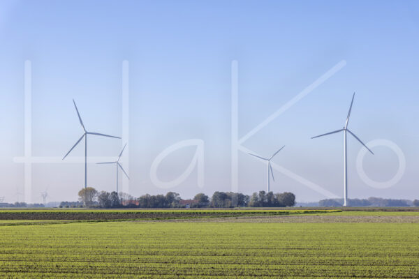 Landbouwlandschap (Y3A5278)