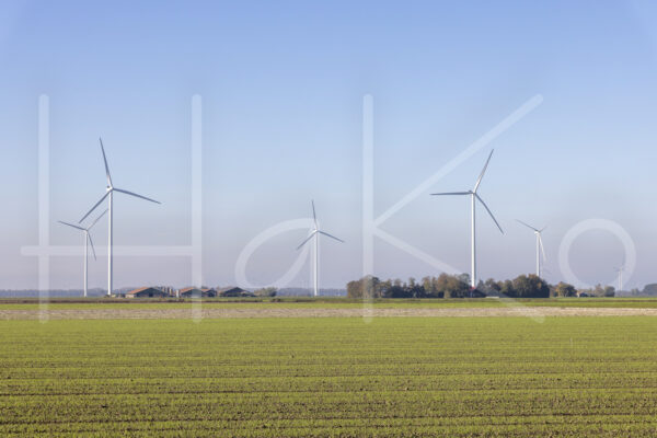 Landbouwlandschap (Y3A5285)