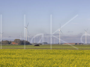 Landbouwlandschap (Y3A5304)