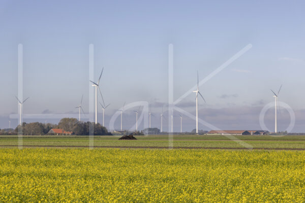 Landbouwlandschap (Y3A5304)