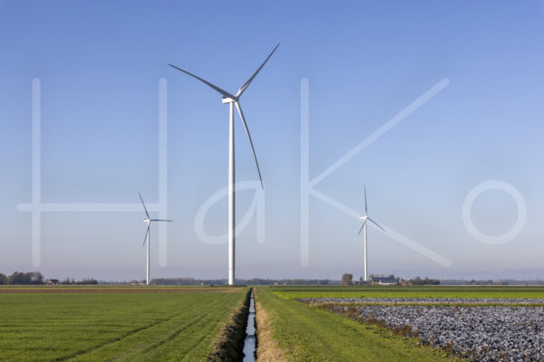 Landbouwlandschap (Y3A5352)
