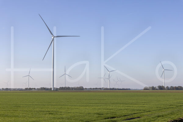 Landbouwlandschap (Y3A5361)
