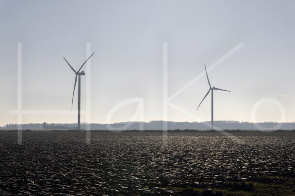 Landbouwlandschap (Y3A5375)