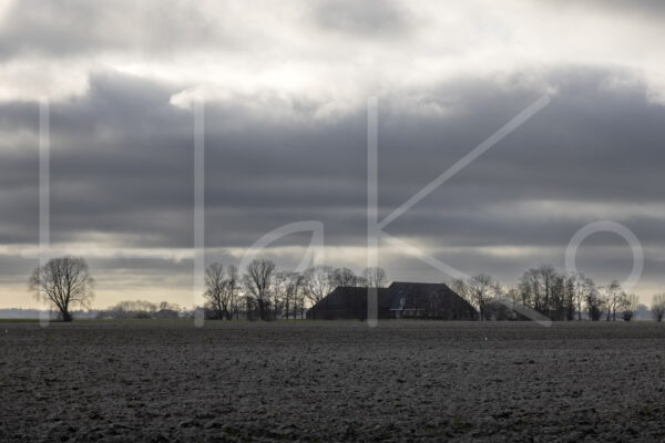 Landbouwlandschap (Y3A8990)