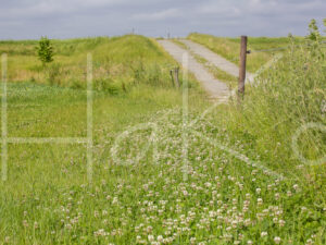 Overige veeteelt (16B0005)