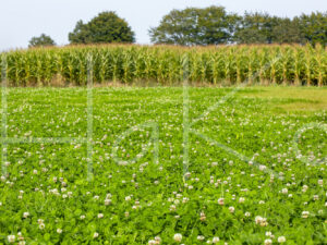 Overige veeteelt (16B0093)