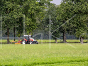 Overige veeteelt (16B1578)