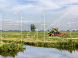 Overige veeteelt (16B2675)