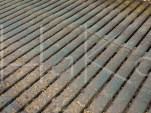 Overige veeteelt (16B5351)