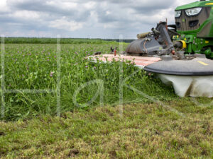 Overige veeteelt (16B6038)