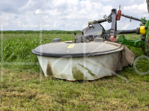 Overige veeteelt (16B6049)