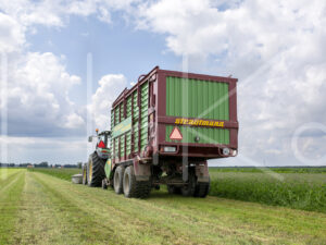 Overige veeteelt (16B6056)