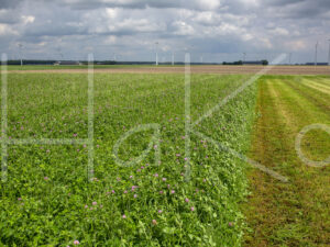 Overige veeteelt (16B6074)