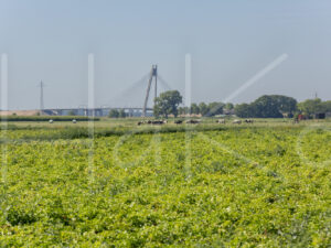 Landbouwlandschap (16B7307)