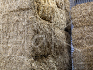 Overige veeteelt (16B7360)