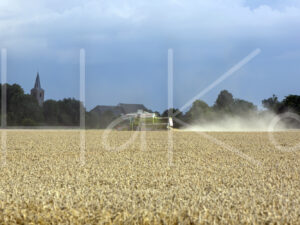 Tarweteelt (16B7372)