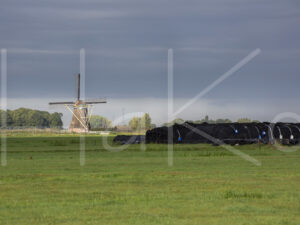 Overige veeteelt (16B7462)