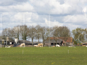 Landbouwlandschap (16B7503)