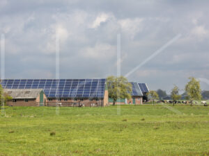 Overige veeteelt (16B7705)