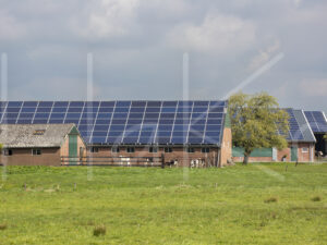 Overige veeteelt (16B7706)