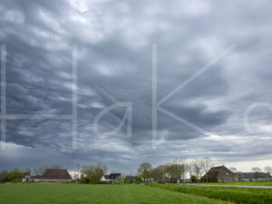 Landbouwlandschap (16B7859)