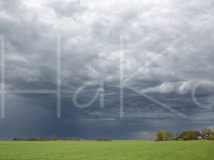 Landbouwlandschap (16B7869)