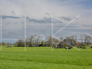 Landbouwlandschap (16B7913)