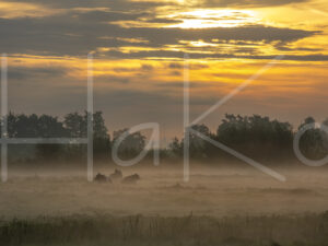 Landbouwlandschap (16B7918)
