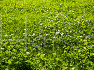 Overige veeteelt (16B7919)